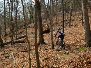 West Tyson County Park, St. Louis County, MO